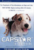 Capstar Blue